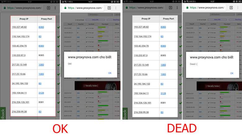 Một danh sách các địa chỉ IP sẽ hiện ra Một danh sách các địa chỉ IP sẽ hiện ra