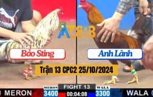 Trận 13 CPC2 Ngày 25/10/2024 Phản Kèo 2 Lai - Bảo Sting Quá Đẳng Cấp