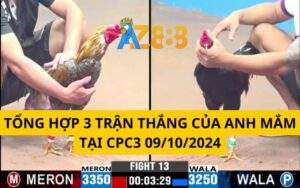 Tổng Hợp 3 Trận Thắng Của Anh Mắm Tại CPC3 09/10/2024
