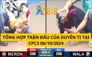Tổng Hợp Trận Đấu Của Duyên Ti Tại CPC3 06/10/2024