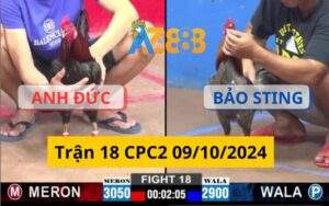 Trận 18 CPC2 09/10/2024 - Anh Đức Long An Và Bảo Sting