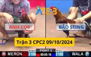 Trận 3 CPC2 09/10/2024 - Gà Que Của Anh Cọp Áp Đảo Bảo Sting
