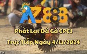 Phát Lại Đá Gà CPC1 Trực Tiếp Ngày 04/11/2024
