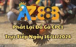 Phát Lại Đá Gà CPC1 Trực Tiếp Ngày 16/11/2024