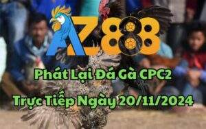 Phát Lại Đá Gà CPC2 Trực Tiếp Ngày 20/11/2024
