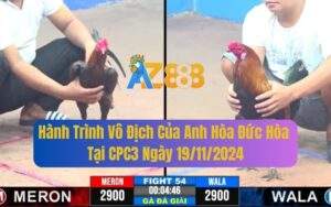 Hành Trình Vô Địch Của Anh Hòa Đức Hòa Tại CPC3 Ngày 19/11/2024