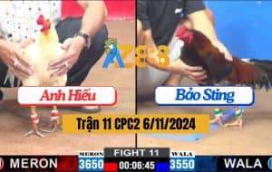 Trận 11 CPC2 Ngày 6/11/2024 Gà Anh Hiếu Hạ Tuyệt Đối Gà Anh Bảo Sting