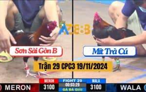 Trận 29 CPC3 19/11/2024 - Mẻ Hiệu Xanh Râu Của Anh Mít Đụng Phải Cọp