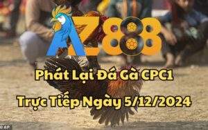 Phát Lại Đá Gà CPC1 Trực Tiếp Ngày 05/12/2024