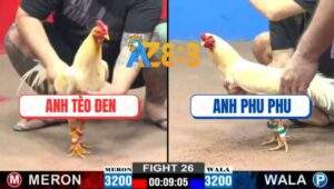 Trận 26 CPC2 15/12/2024 - Anh Tèo Đen Hạ Anh Phu Phu Với Tỷ Số 3 - 1