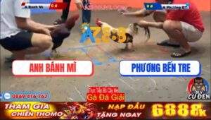 Trận 4 Giải Bồ Cây Me 30/12/2024: Anh Bánh Mì Và Anh Phương Bến Tre