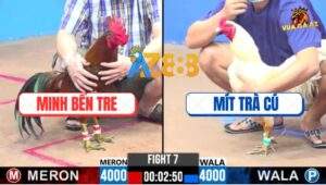 Trận 7 CPC3 8/12/2024 - Anh Mít Trà Cú Hạ Má Minh, Lụm Nhẹ Cái Xổ 200