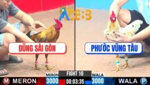 Trận 10 CPC3 21/1/2025 - Cú Bắt Bướm Không Thành Bị Đá Hư Hình