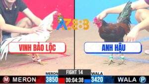 Trận 14 CPC3 7/1/2025 - Anh Vinh Bảo Lộc Thả Con Tép Bắt Con Tôm