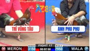 Trận 17 CPC2 22/1/2025 - Gà IDOL Phu Phu Kém 2 Chấm, Lụm Xổ Ngọt Xớt