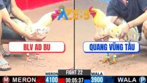 Trận 22 CPC3 23/1/2025 - BLV AD Bu Bay Gần 1 Tỷ Vì Cây Phản Quá Nghiệt