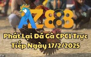 Phát Lại Đá Gà CPC1 Trực Tiếp Ngày 17/02/2025