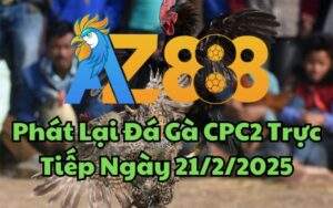 Phát Lại Đá Gà CPC2 Trực Tiếp Ngày 21/02/2025