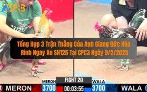 Tổng Hợp 3 Trận Thắng Của Anh Giang Đức Hòa Rinh Ngay Xe SH125 Tại C3
