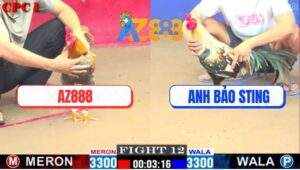 Trận 12 CPC1 22/2/2025 - Gà Xóm Gà AZ Có Chân Xạo Lờ Hạ Gà Anh Bảo Sting
