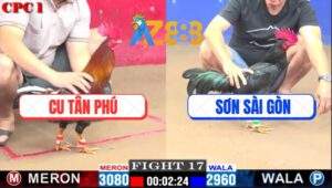 Trận 17 CPC1 10/2/2025 - Gà Anh Cu Tân Phú Đá Cái Bo Lạnh Sống Lưng