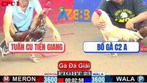 Trận 23 CPC1 22/2/2025 - Bướm Hiệu Anh Bảo Sting Đá 3 Chân Lụm Lúa