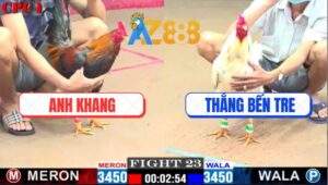 Trận 23 CPC1 8/2/2025 - Không Hẹn Mà Gặp Gà Duyên Ti Đụng Gà Bảo Sting