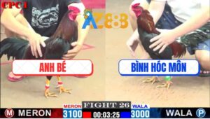 Trận 26 CPC1 27/2/2025 - Điều Cọp Anh Bé Đá Quẹo Cổ Gà Anh Bình