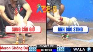 Trận 27 CPC2 26/2/2025 - Nhỏ Mà Có Võ Đá Bự Bắn Tóc Gáy La Miệng