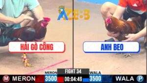 Trận 34 CPC3 20/2/2025 - Khét Bông Sút Chân Một Phân Định Thắng Thua