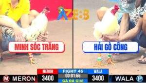 Trận 46 CPC3 16/2/2025 - Chung Kết 2 Giữa Anh Minh ST Và Anh Hải GC