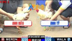 Trận 49 CPC1 15/2/2025 - Bướm Canh Bối 1 Chân Về Đủ Điểm