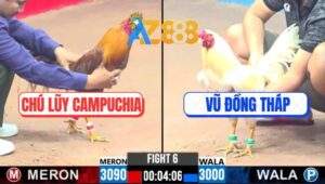 Trận 6 CPC3 16/2/2025 - Gà Chú Lũy Đá 1 Chân Chí Mạng Hạ Gà Anh Vũ