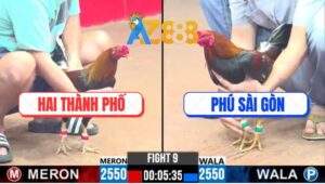 Trận 9 CPC3 21/2/2025 - Gà Anh Phú Lật Kèo 5 Lai, Đưa Biện Đi Xa