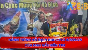 Gấu Bến Tre Đoạt Chức Vô Địch Giải Gà Nòi CPC3 2025