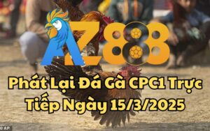 Phát Lại Đá Gà CPC1 Trực Tiếp Ngày 15/03/2025