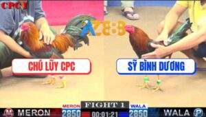 Trận 1 CPC1 22/3/2025 - Anh Sỹ Bình Dương Mở Bát Hạ Chú Lũy Campuchia