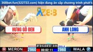 Trận 10 CPC1 17/3/2025 - Cú Kêu Mấy Chân Điều Anh Long 4G Bung Bồ