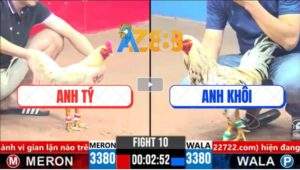 Trận 10 CPC3 19/3/2025 - Gà Bướm Anh Khôi Lùa Đá Bát 1 Có Kết Quả