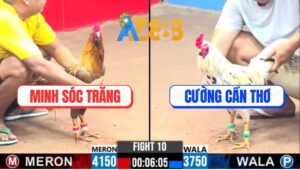 Trận 10 CPC3 4/3/2025 - Bướm Anh Cường Kém 4 Chấm Đá Khét Râu Gãy Giò