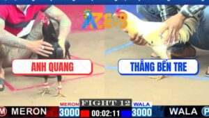 Trận 12 CPC1 3/3/2025 - Gà Anh Quang Đá Gà Anh Thắng Không Kịp Dỡ Giò