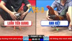Trận 13 CPC2 28/3/2025 - Gà Bông Anh Luân Có 3 Phần Tài 7 Phần May Mắn