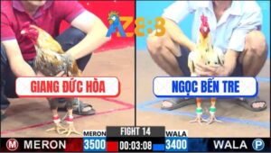 Trận 14 CPC3 1/3/2025 - Bướm Đá Cựa Ớn Lạnh Hạ Cú Cọp Giang Đức Hòa