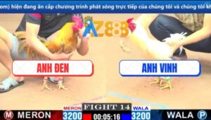 Trận 14 CPC1 15/3/2025 - Đám Khét Cọp Anh Tính GaKing Đâm Cựa Quá Ác