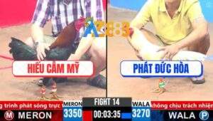 Trận 14 CPC3 19/3/2025 - Gà Bướm Anh Phát Vô Ẩu Bị Đá Gãy Chân