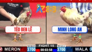 Trận 15 CPC2 2/3/2025 - Bướm Má Minh Đâm Camelo Anh Tèo Nằm Quỳ Gối