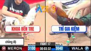 Trận 17 CPC3 1/3/2025 - Gà Que Anh Trí Đâm Chân Nào Thấm Chân Đó