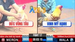 Trận 17 CPC3 26/3/2025 - Gà Anh Đức Đâm Chân Nào Khét Chết Tới Chân Đó