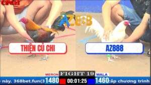 Trận 19 CPC1 27/3/2025 - Úa Chân Trắng Xóm Gà AZ Đá Toàn Đâm Đầu Cần