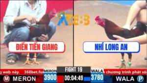 Trận 19 CPC3 18/3/2025 - Điều Táng Mấy Cây Gà Bướm Anh Nhí Bỏ Mạng